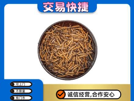 巴音郭楞礼品回收虫草.jpg
